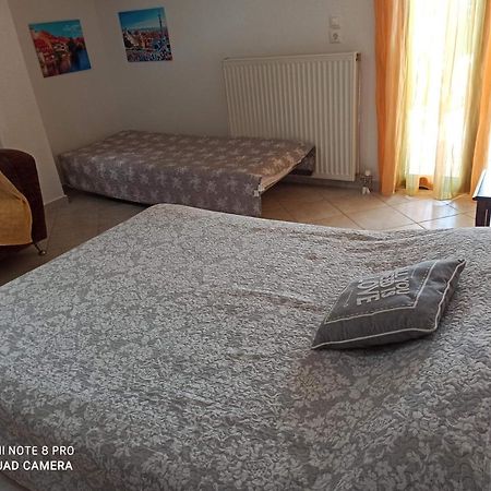 Olga'S Apartments Olympus And Garden View 네아 미카니오나 외부 사진